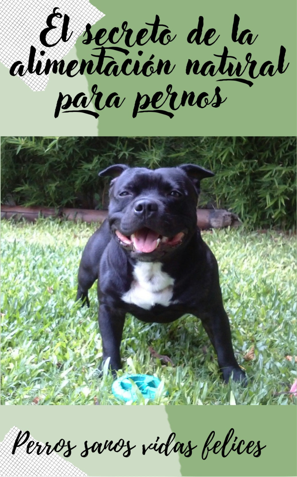 “Perros Sanos, Vidas Felices: El Secreto de la Alimentación Natural”